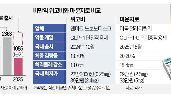 [뉴스] 비만약 품귀…위고비-마운자로 경쟁 가열