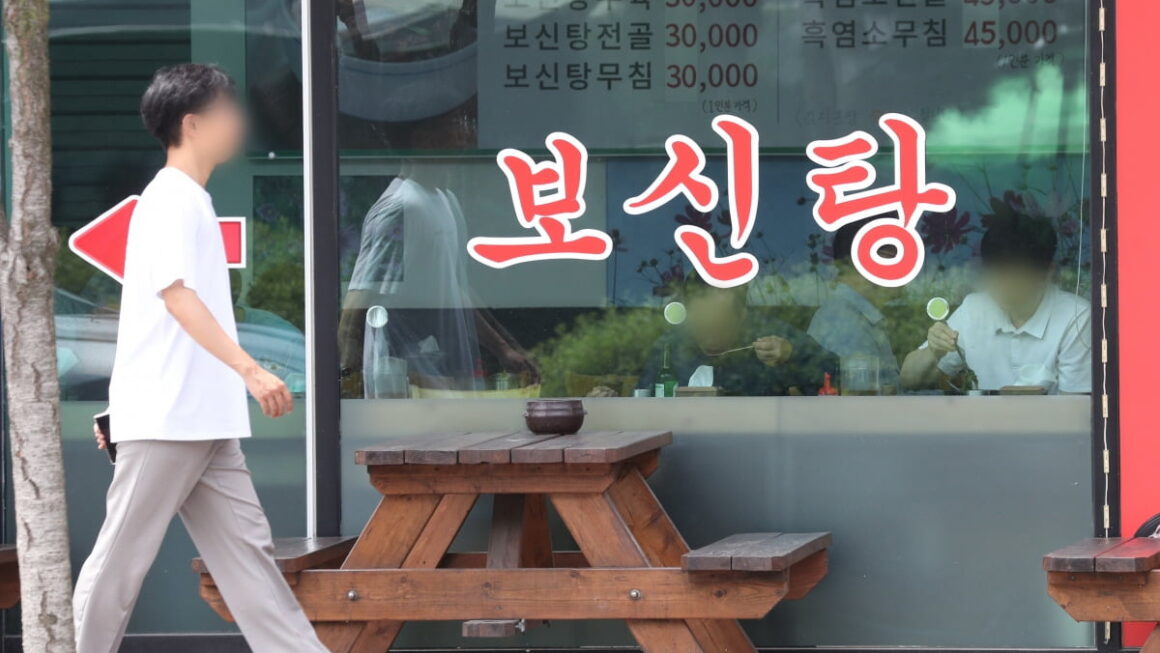 [뉴스] 개 식용 종식 1년…농장주가 포기한 잔여견 0.1%도 보호 못받아