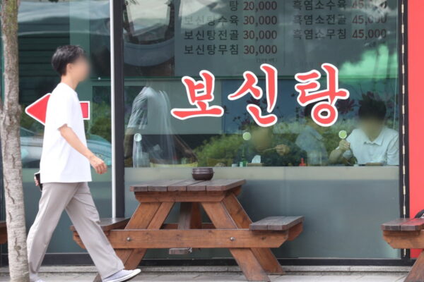 [뉴스] 개 식용 종식 1년…농장주가 포기한 잔여견 0.1%도 보호 못받아