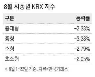 [뉴스] 대내외 불확실성 커지자 소형주 주가 선방