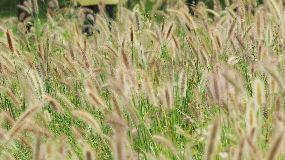 [뉴스] 주말까지 전국 가을비…최대 100㎜·천둥번개 동반