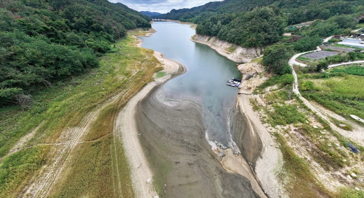 [뉴스] 최악 가뭄 강릉 이어 바닥 드러낸 안동댐