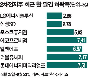 [뉴스] 주가부진 계속되는 2차전지株