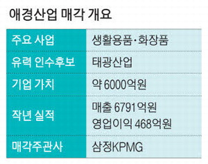 [뉴스] 태광그룹, 애경산업 품는다 화장품 등 K뷰티에 승부수