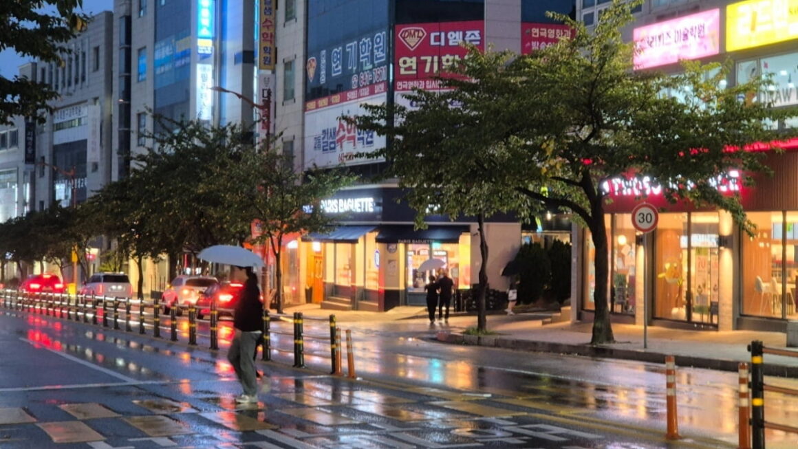 [뉴스] 토요일 전국 강하고 많은 비…가뭄 강릉에 호우주의보