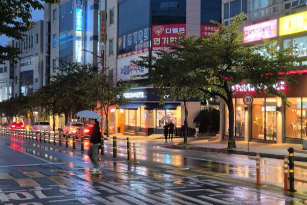 [뉴스] 토요일 전국 강하고 많은 비…가뭄 강릉에 호우주의보