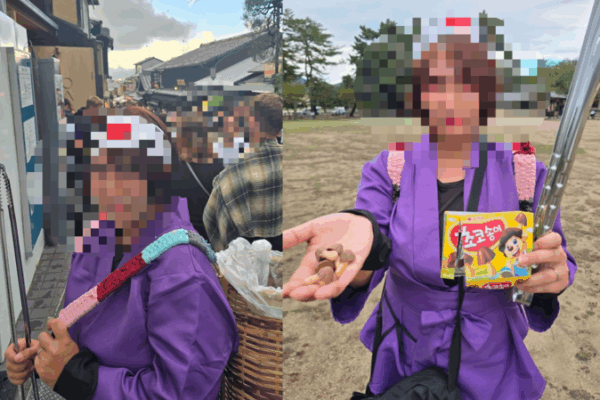 [뉴스] “빨리 돌아가라”…나라 ‘사슴공원’서 한국인 저격한 일본女, 비난받은 이유