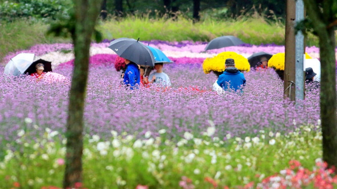 [뉴스] 선선한 아침 전국서 가을비…흐린 하늘에 최저기온 15도