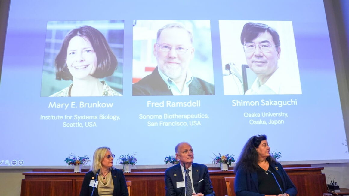 [뉴스] 노벨생리의학상에 조절T세포…자가면역질환·암 치료 개념 바꿔