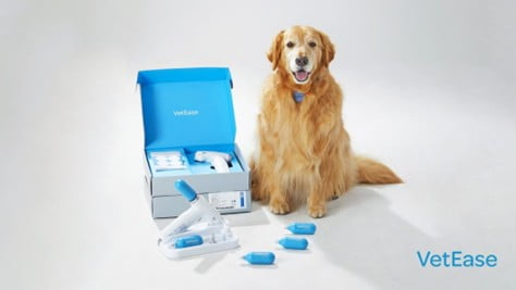 [뉴스] 벳이즈, FASAVA 2025서 유럽 수의피부과 전문가 강연…정밀 냉각기술 선봬