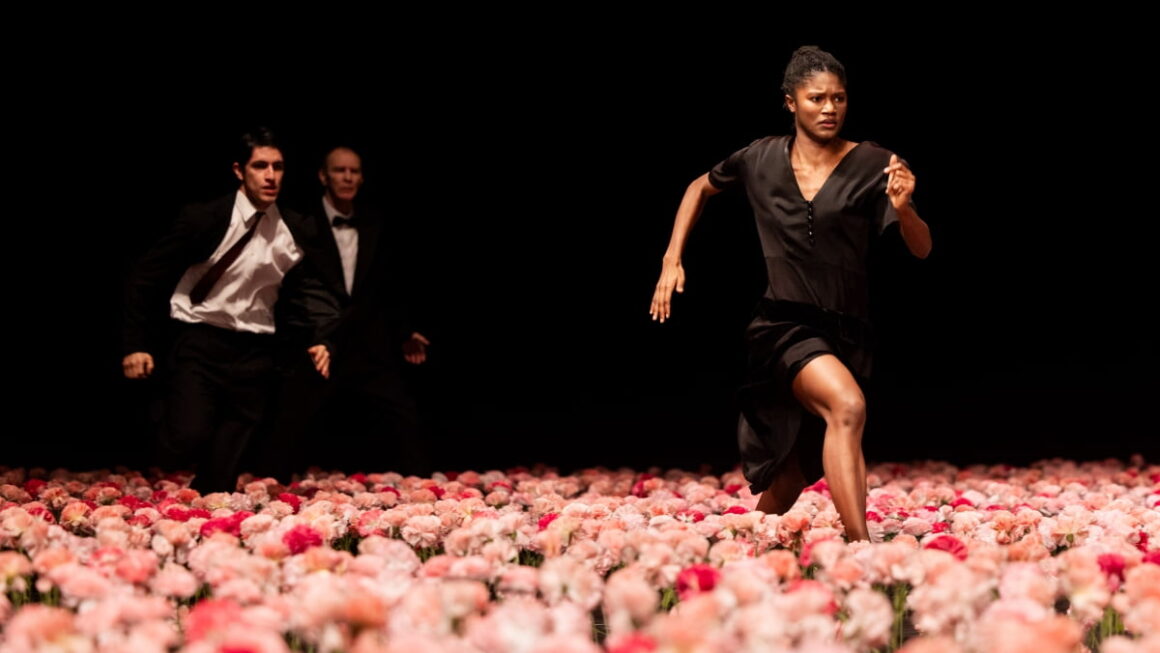 [뉴스] 9000송이 카네이션과 경계를 지우다…피나 바우쉬 