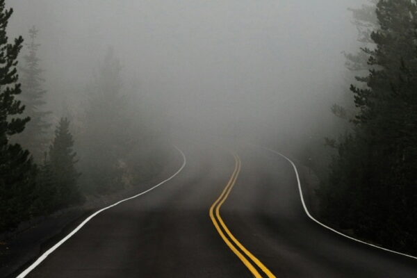 [뉴스] 둔해진 게 아니라, 배우고 있거든요