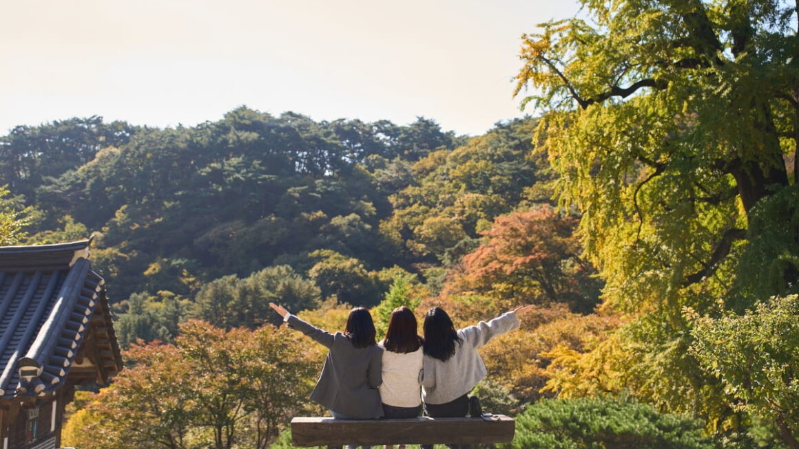 [뉴스] 지금이 마지막 기회…국내 여행 바가지 논란에 초비상