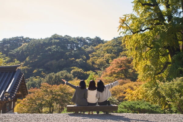 [뉴스] 지금이 마지막 기회…국내 여행 바가지 논란에 초비상