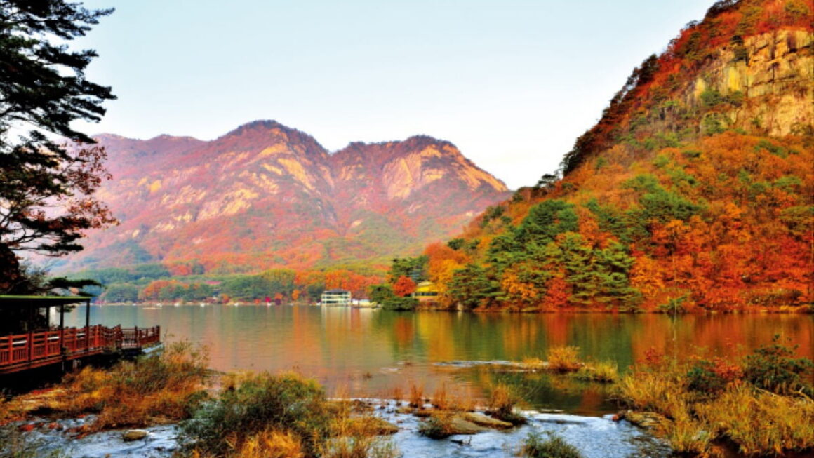 [뉴스] 단풍명소 검색했더니…인생샷 찍는 시간·각도 알려준다