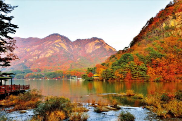 [뉴스] 단풍명소 검색했더니…인생샷 찍는 시간·각도 알려준다