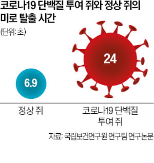 [뉴스] 코로나 앓고 자꾸 깜빡깜빡…원인 찾았다