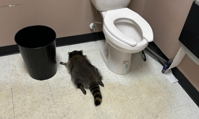 [뉴스] “출근했더니 가게가 엉망이에요”…위스키 마시고 실신한 난봉꾼 정체