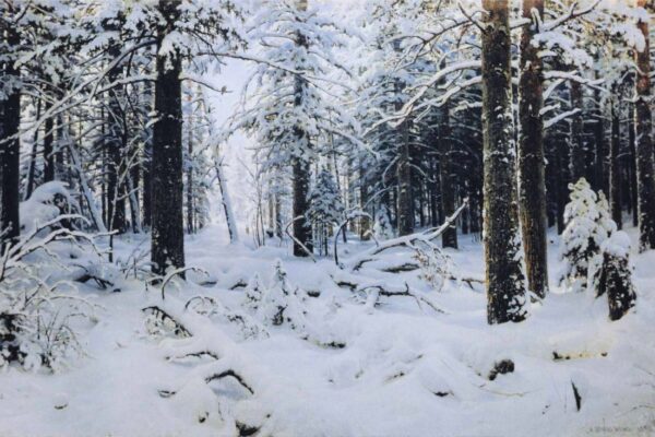 [뉴스] 가족 5명 떠나보내고도 정시 출근…미쳤다던 男의 반전