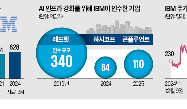 [뉴스] 10년 부진 IBM, AI 데이터로 반등 노린다