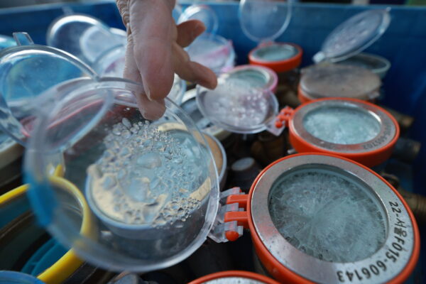 [뉴스] 아침까지 강추위…중부지방 1㎝ 안팎 눈 또는 비