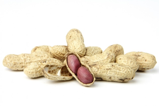 [뉴스] 하루 두 줌의 이 것 4개월 섭취한 노인들, 기억력 좋아졌다