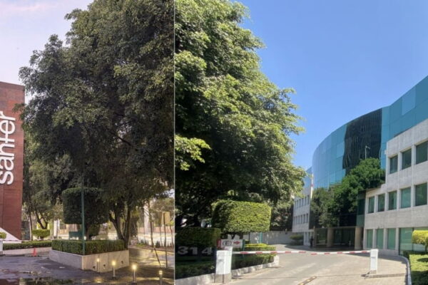 [뉴스] 한미약품, 첫 국산 GLP-1 비만약 남미수출 시대 열었다