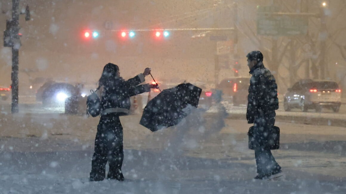[뉴스] 극한 한파에 내린 기습 폭설…수도권 대설주의보 발령