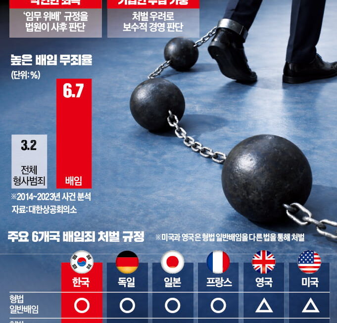 [뉴스] 정상적 경영판단도 배임죄 처벌…투자 결정에 걸림돌