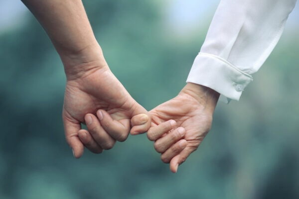 [뉴스] 바람같은 말만 믿고 계약했다간…법정서 큰코 다쳐요