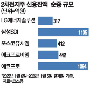 [뉴스] 실적 눈높이 낮아지는데…2차전지 쓸어담은 빚투개미