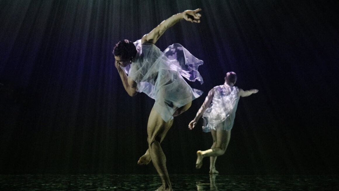 [뉴스] AI는 11번째 무용수…GS아트센터가 주목한 안무가 웨인 맥그리거의 세계