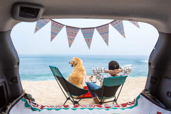 [뉴스] 당연히 같이 가야죠…반려동물 비행기 동반탑승 확 늘었다