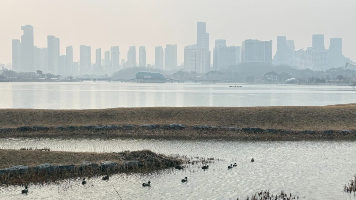 [뉴스] 내일 출근길 다시 강추위…황사까지 덮친다