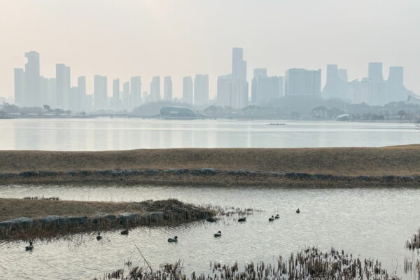 [뉴스] 내일 출근길 다시 강추위…황사까지 덮친다