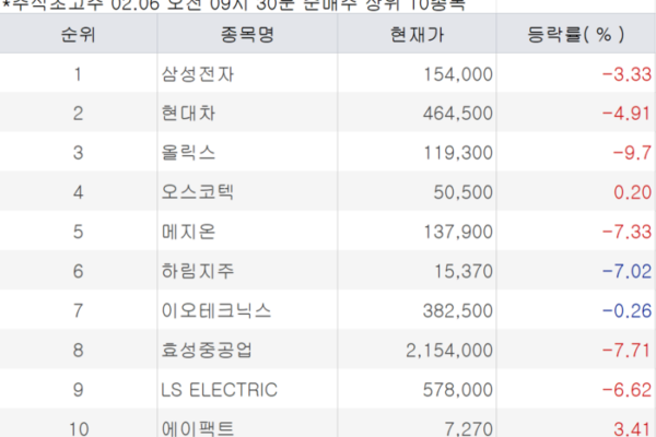 [뉴스] “삼전 담고 하닉 팔고”…하락장서 투심 갈렸다 [주식 초고수는 지금]