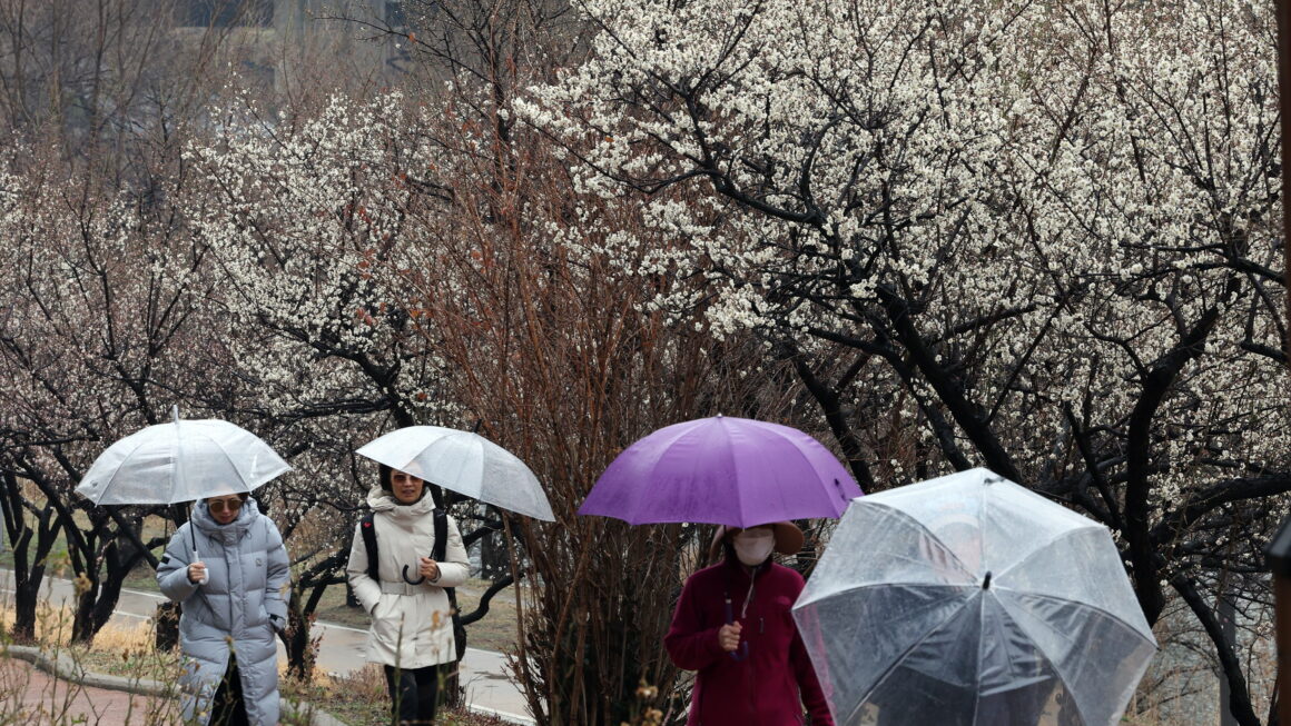 [뉴스] 내일 우산 챙기세요…전국 흐리고 봄비 내려