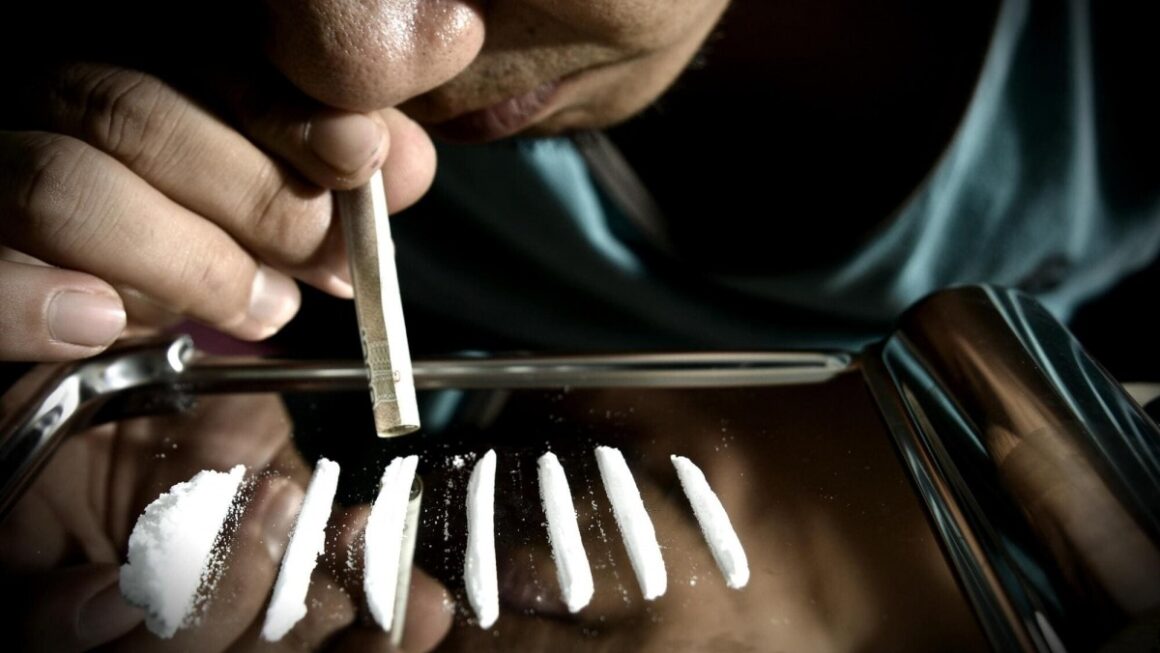 [뉴스] 코카인 재발 부르는 뇌세포 찾았다…마약 중독 치료 길 열려