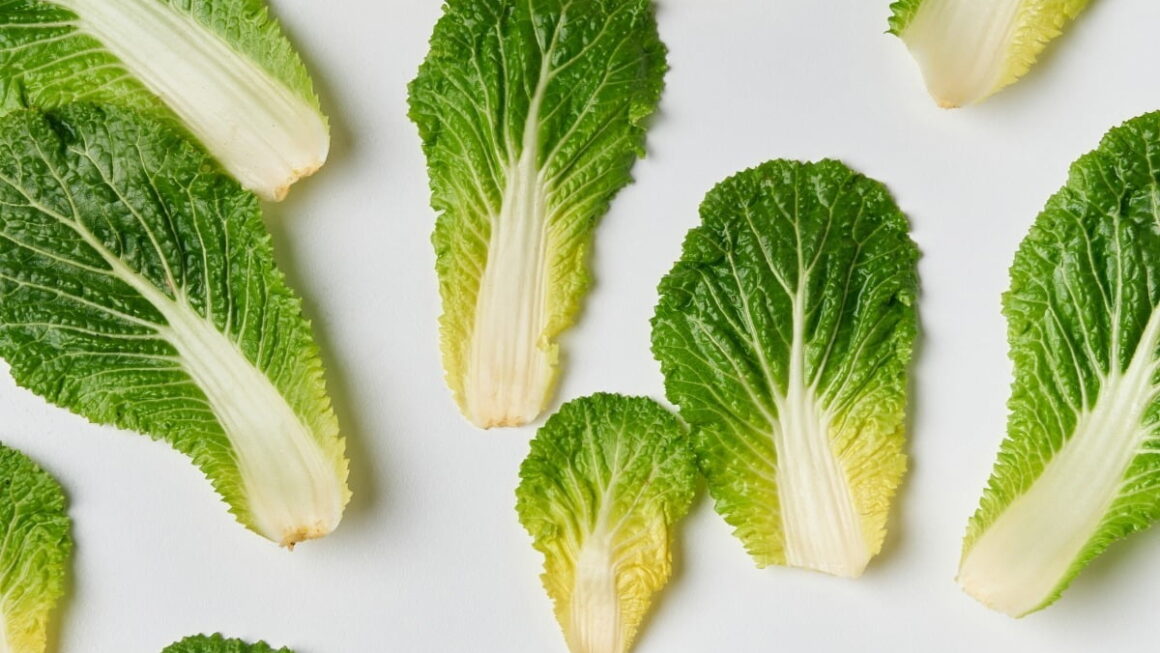 [뉴스] 봄동 비빔밥 열풍에 봄동 가격 무려 30% 치솟았다