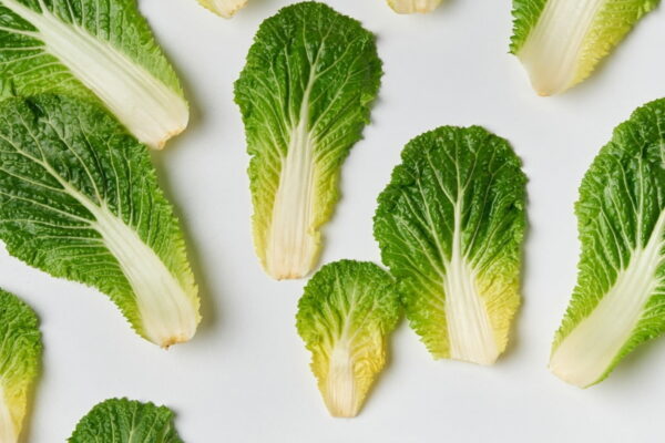 [뉴스] 봄동 비빔밥 열풍에 봄동 가격 무려 30% 치솟았다