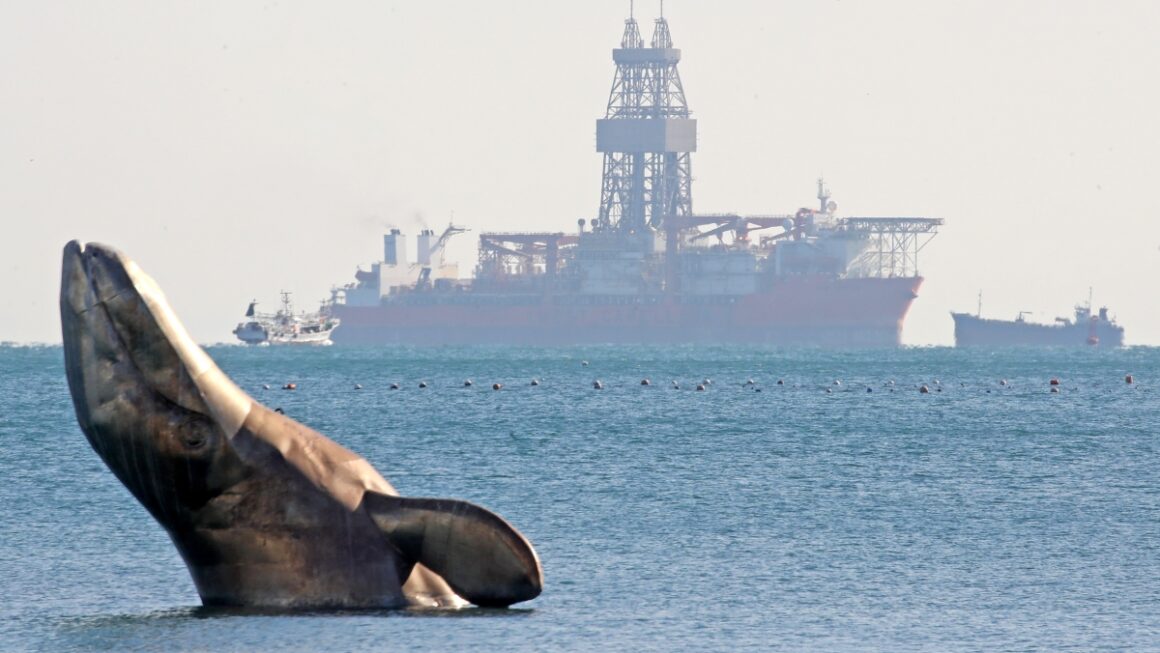 [뉴스] 대왕고래 어게인?…기름값 폭등에 에너지 자립 관심 ↑