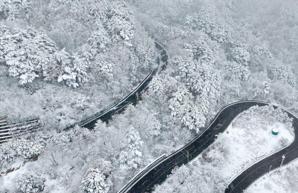 [뉴스] 3월의 눈꽃…강원 산지 16cm 적설