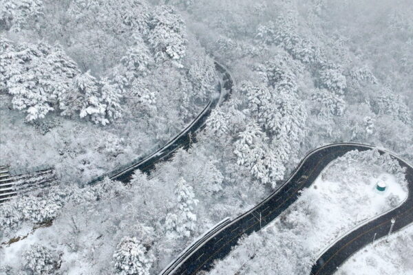 [뉴스] 3월의 눈꽃…강원 산지 16cm 적설
