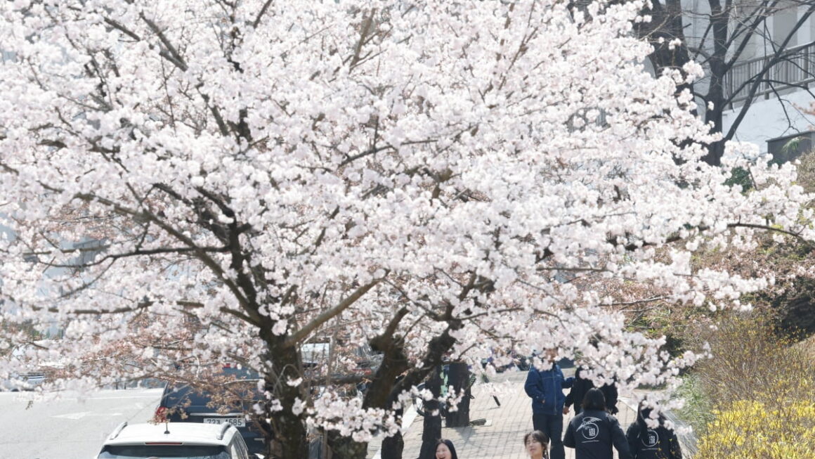 [뉴스] 낮 최고 23도 봄 날씨…일교차 20도·짙은 안개·미세먼지 주의