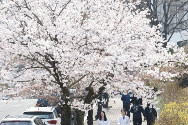 [뉴스] 낮 최고 23도 봄 날씨…일교차 20도·짙은 안개·미세먼지 주의