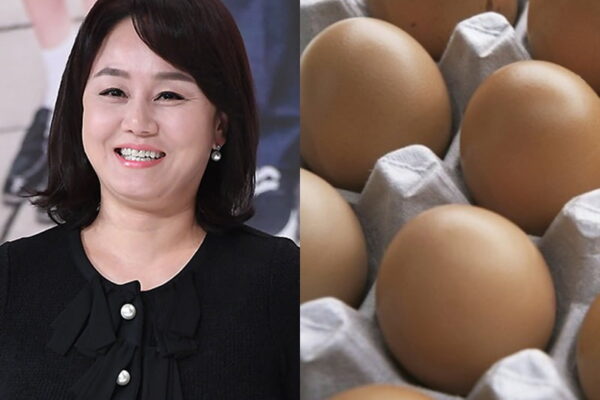 [뉴스] 고가 달걀 논란 이경실 해명…아들 국방부 조사받았지만 무혐의