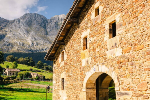 [뉴스] 스페인판 흑백요리사? 전설적 스승 텃밭에 식당 낸 제자 [이영민의 테이블 위의 세계]