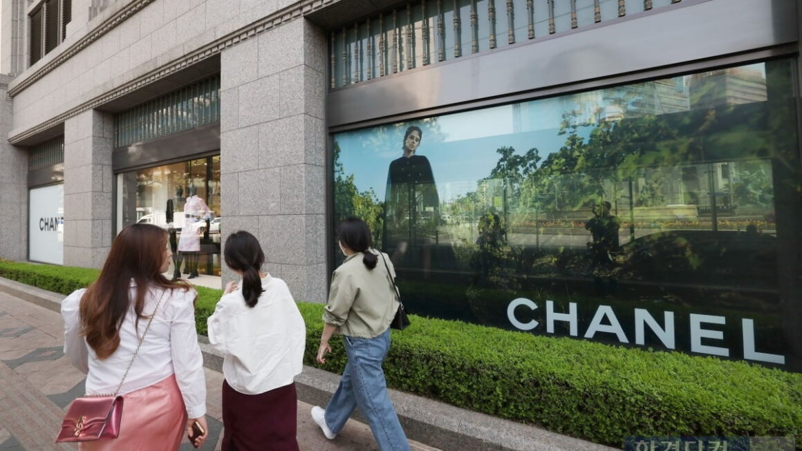 [뉴스] 샤넬 가방 사려했는데…도대체 몇번째냐 불만 나온 이유