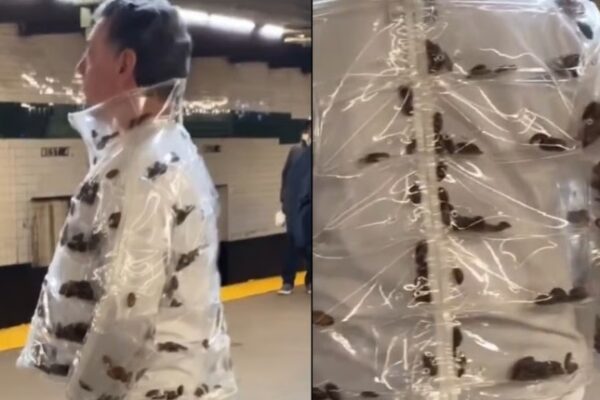 [뉴스] “투명 패딩 속 거대 바퀴벌레 꿈틀, 경악”…지하철 남성의 정체