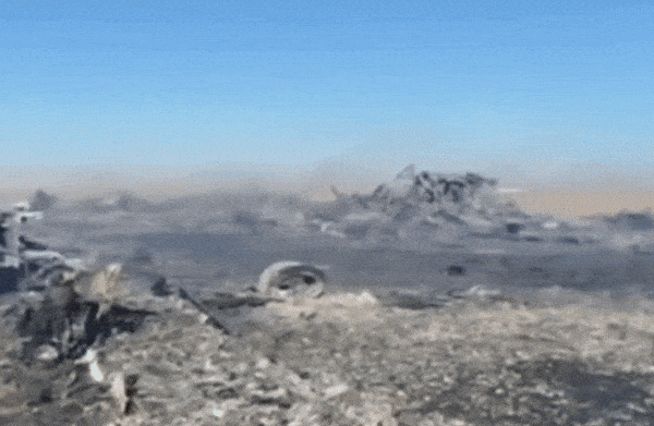 [뉴스] 이란의 외딴 산등성이에서 보낸 “하느님은 자비롭다” 메시지…美 특수작전부대, 두번째 작전서 구출 성공